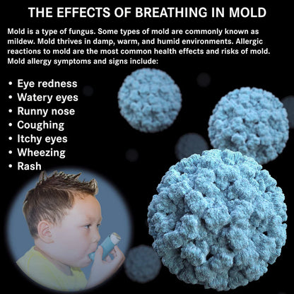 Clean Air Mold Treatment (Home & Commercial) ¡Respira Aire Limpio! Elimina el Moho, Virus y Bacterias